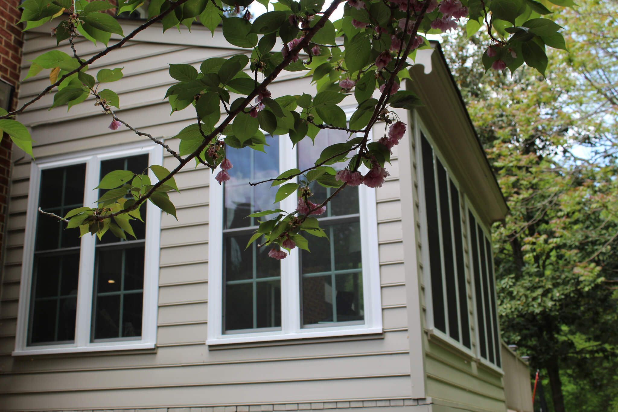 Replacement Vinyl Windows in a Home in Williamsburg VA